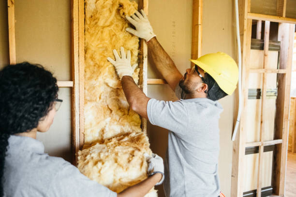 Best Insulation for New Construction  in Essex Fells, NJ